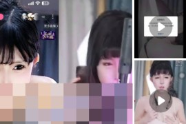 B站 罉指导  付费会议 大尺度 情趣露内 3V