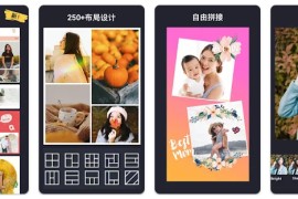 InCollage - 拼图&照片編輯 v1.55.267267001 安卓绿化版