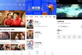 大海视频/天空视频 V4.0.5 安卓绿化版