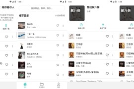 音狐 v1.1.6 安卓绿化版+音源