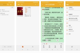 桔子阅读器 v3.9.5(20) 安卓绿化版