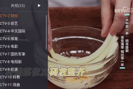 卫星电视(web) v1.9.9 TV版