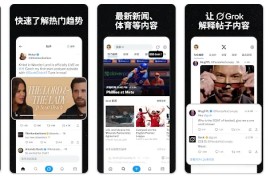 Twitter X v11.80.0 安卓绿化版