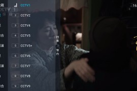 DIYP电视直播 v5.2.0 TV版-10.24更新