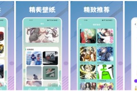 双子星动漫 v6.1.0(2001) 安卓绿化版