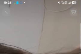 视讯 啵啵 裸聊 QQ 一对一 自慰